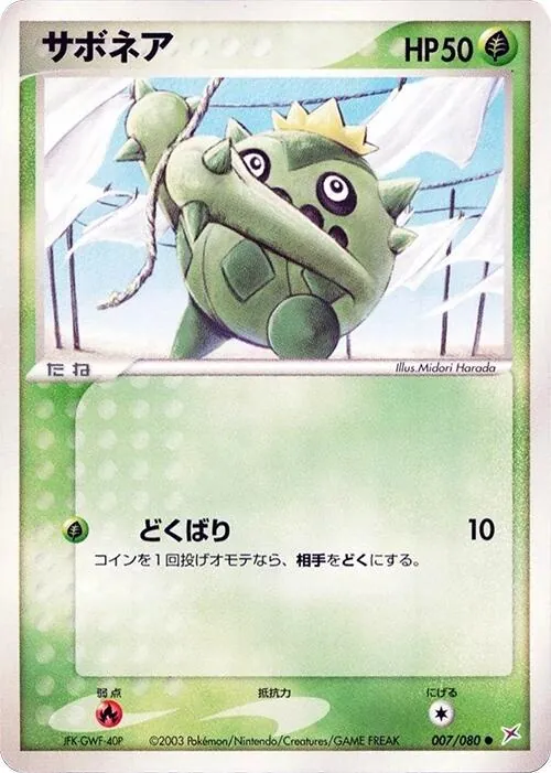 Cacnea [1st-Edition]